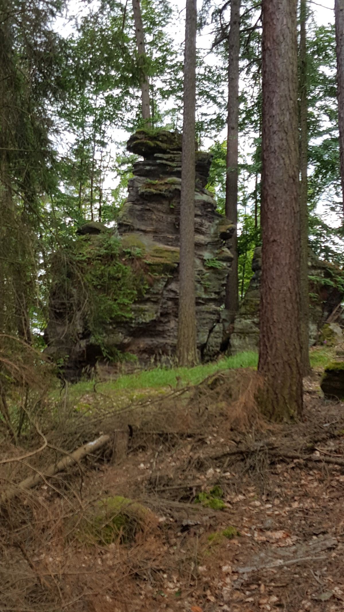 001 Faellenturm 2023