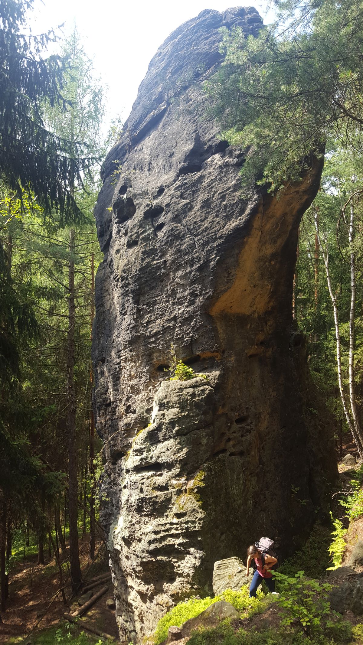 005 Faellenturm 2023