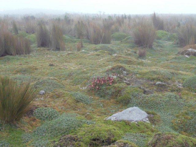 027_Ecuador_eine_Andenreise_ins_Hochland