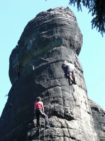 Hauptdrilling-Dungervariante